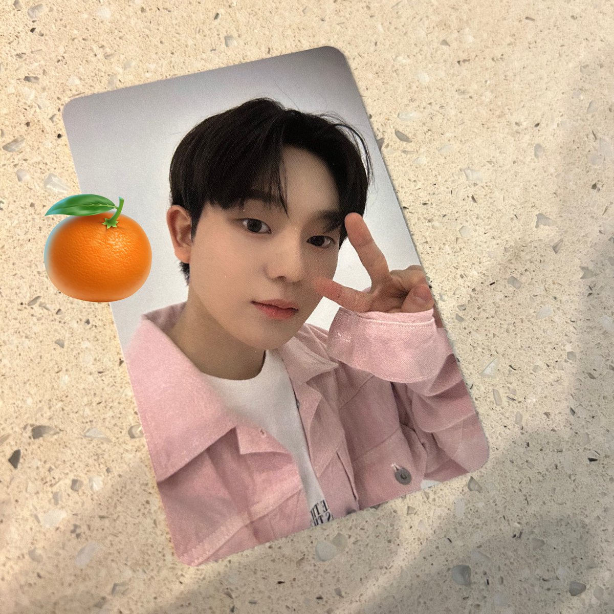 조이 tweet media