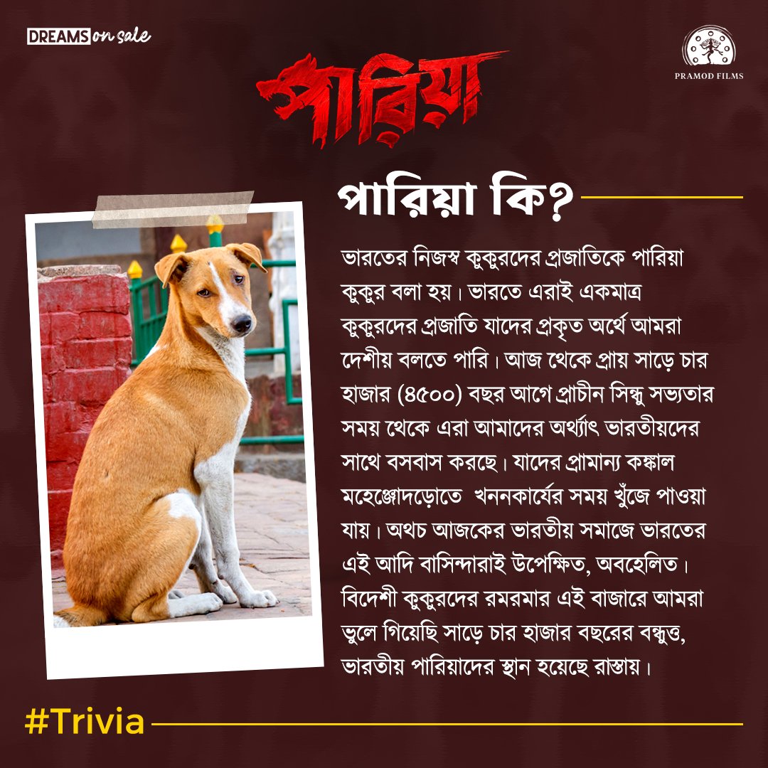 'পারিয়া' নিয়ে কিছু কথা...❤️🐕 #PariahTrivia #Pariah #পারিয়া