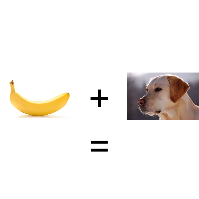 nanadogsol's tweet photo. $nana

🍌+🐕= https://t.co/j9hsh6pDsf