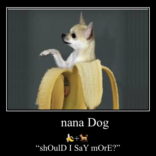nanadogsol's tweet photo. $nana 🍌 https://t.co/az9mwsRaYN