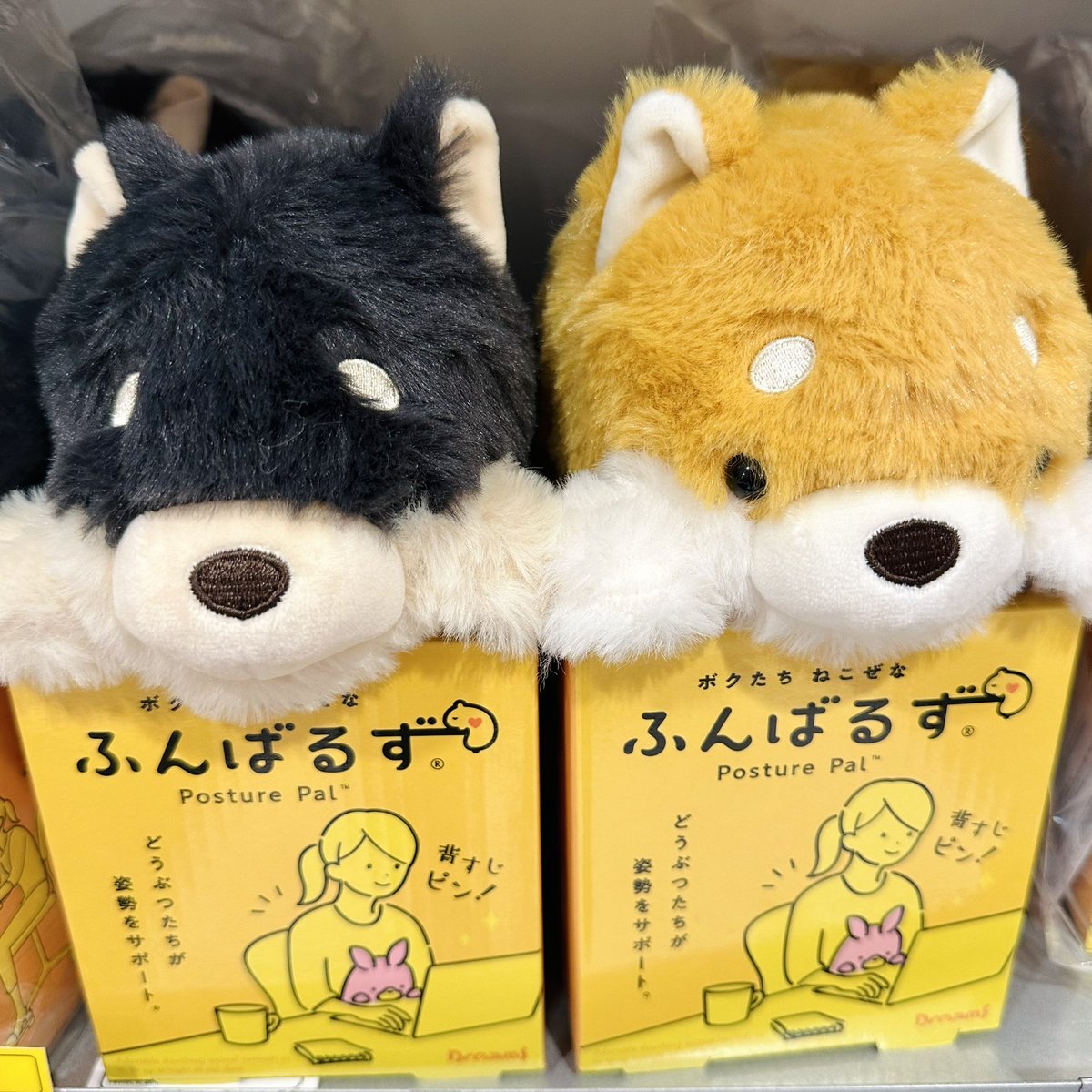 Post by ロフト公式 on X: 🐲🐶✨