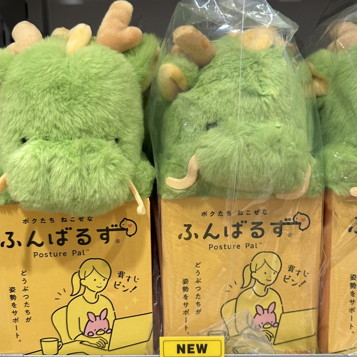 Post by ロフト公式 on X: 🐲🐶✨