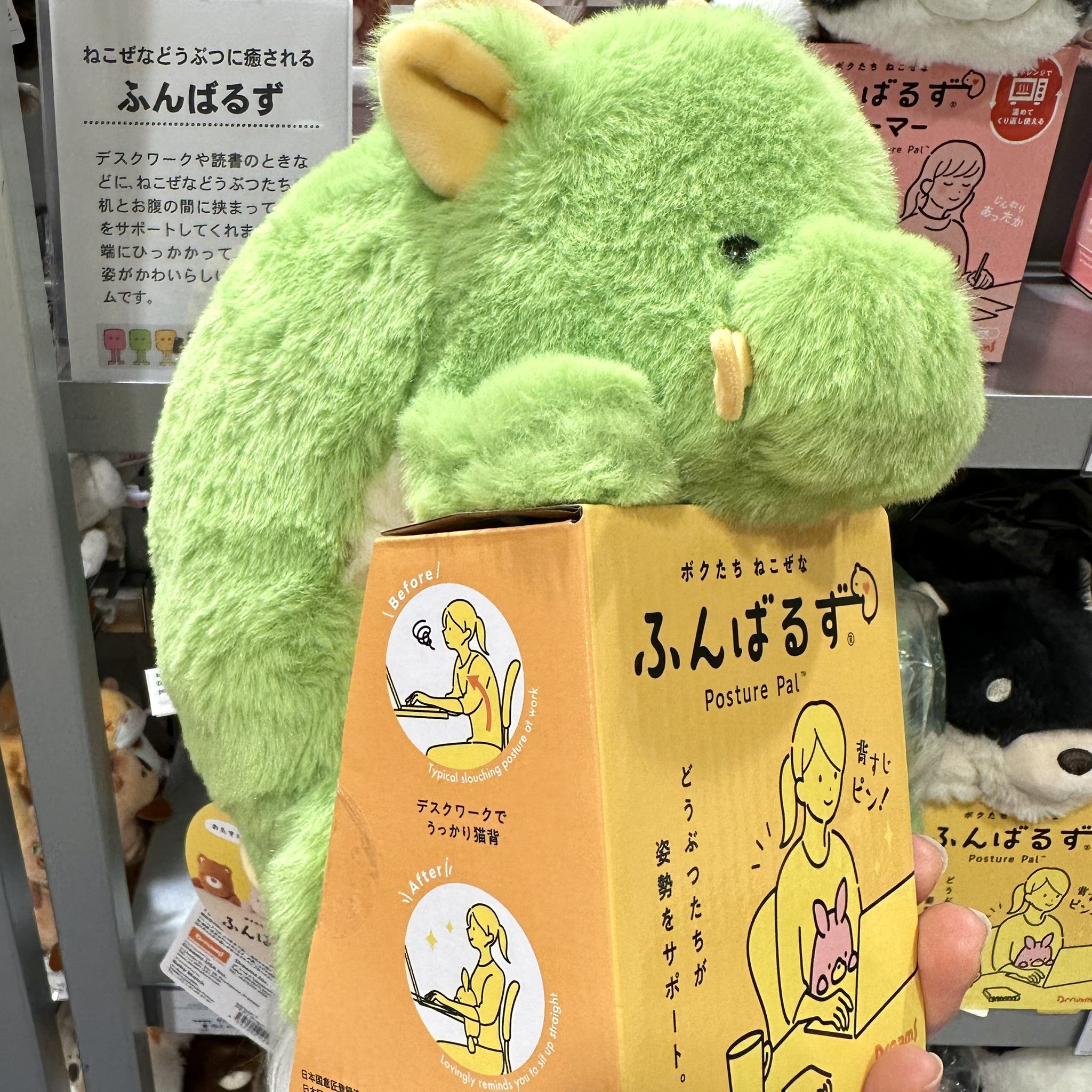 ふんばるず 猫背矯正 ぬいぐるみ 龍 ドラゴン