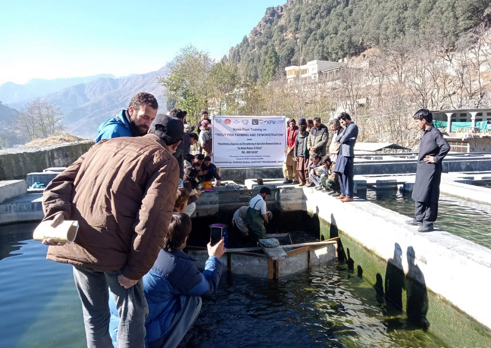 SRSP_official's tweet image. #Trout #farming has been #practiced in #KP since 1928 because the province has the best #natural conditions  #SRSP &amp;amp; @PatripStiftung organized 7 days #training program for #26farmers from #Chitral on 'Trout Farming' at the Trout Culture Training Center Madyan Swat