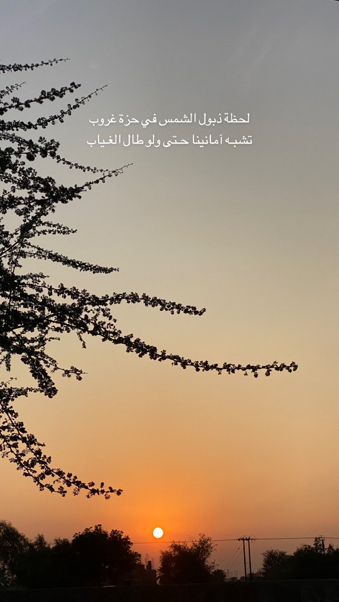 3mer_33's tweet photo. #لحظة #غروب_الشمس 🌅 https://t.co/LlJuVPbYvI