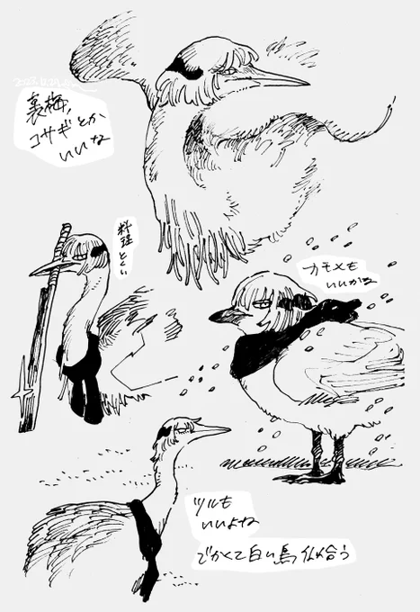 裏梅(鳥)