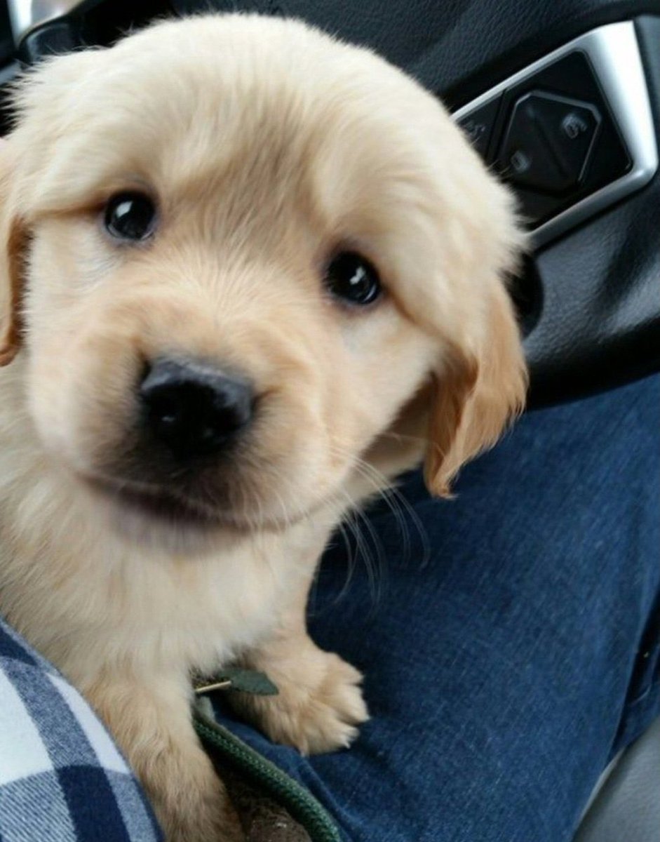 ไปเจ้าชู้ตอนไหน