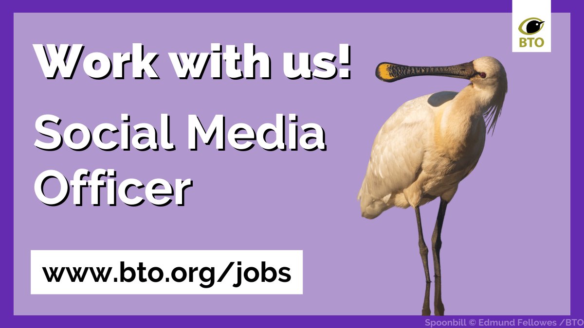 💼 Job Vacancy: Social Media Officer 🗺️Thetford, Norfolk 💷 Full time, Permanent £28,644 ⏰9 January …shtrustforornithology.postingpanda.uk/job/496197 #ConservationJobs #ConservationCareers