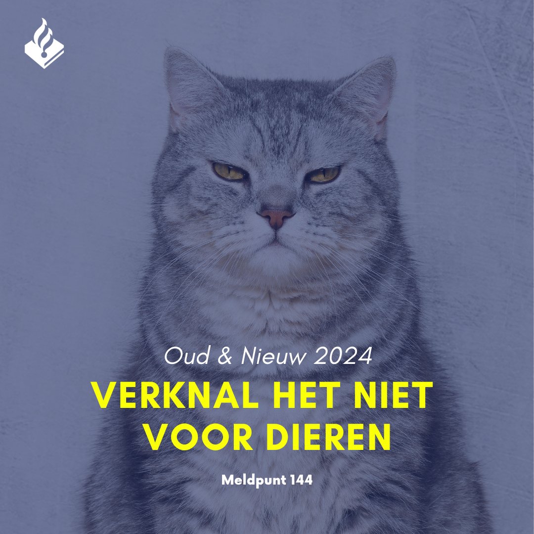 De afgelopen jaren hebben we meerdere meldingen gehad over dieren die, al dan niet opzettelijk, gewond zijn geraakt door #vuurwerk. Besef je goed dat gooien van vuurwerk naar een dier een misdrijf en dus strafbaar is!
Heterdaad? 📞112
#Meldpunt144 #dierenleed #dierenpolitie