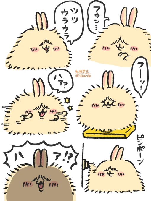 増毛したうさぎ 