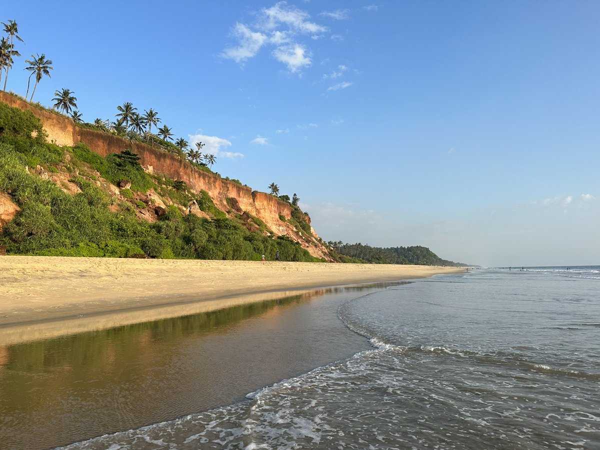 Drishtii tweet media