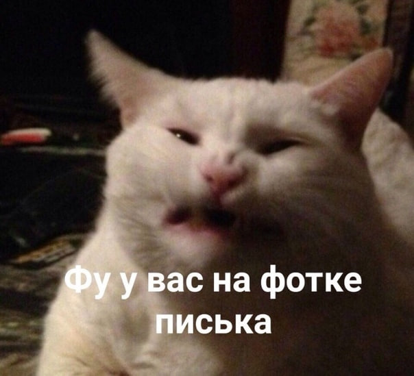 Мизулина be like: