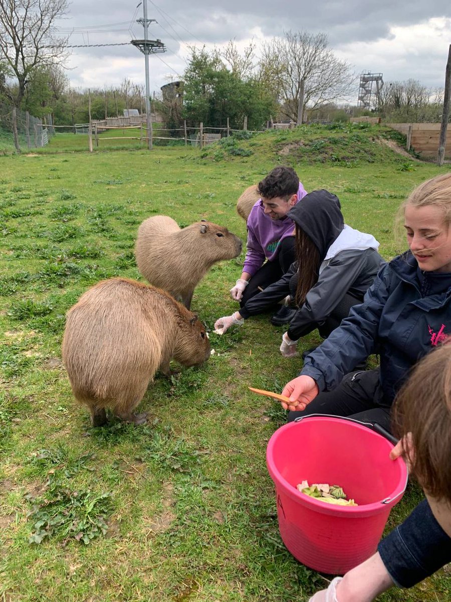 persistentKA's tweet image. 📍Hobbledown Heath, TW14 0HH