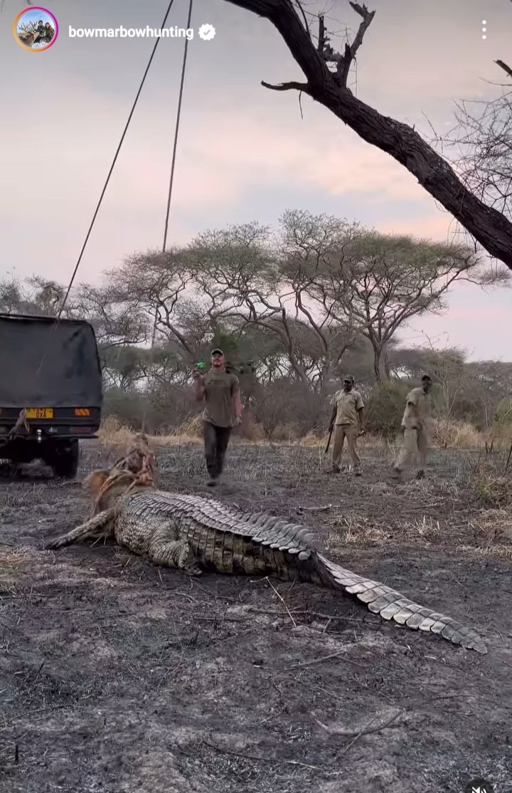 HarryGodfirst's tweet image. Josh Bowmar wanasema huyu ni MAMBA mkubwa kuuwawa kwa kutumia Mshale toka aanze uwindaji. Mamba huyu ameuwawa toka TANZANIA.

Lakini kwa serikali hii ya KIHUNI &amp;amp; KITAPELI inayojali FEDHA zaidi utaletwa ufafanuzi wa hovyo huku watu wameshakunja dola wako kimya. #stoptrophyhunting