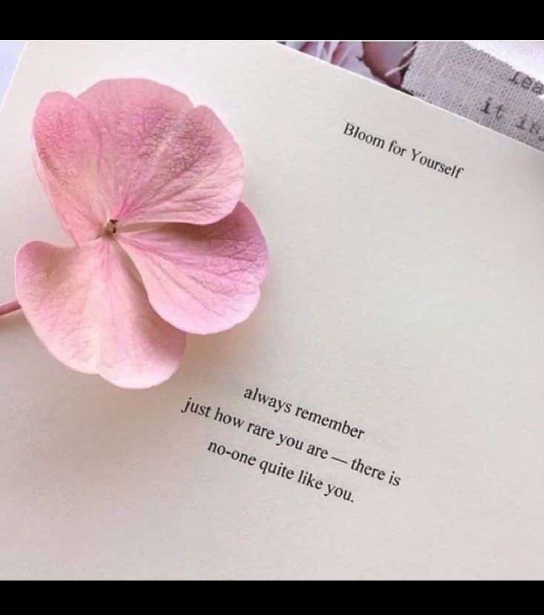 Assalam.o.alaikum
#bbtvi 
#jjk247 
#PAKvsAUS