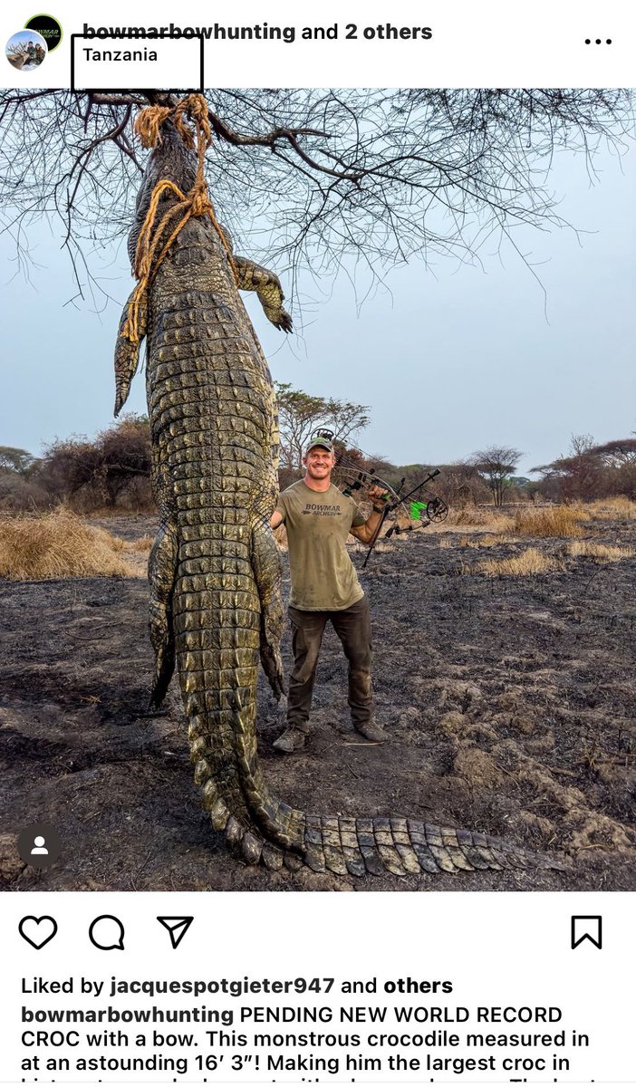 AfricanEagle77's tweet image. #Tanzania again ! As  Anti-trophy hunting Campaigner I strongly Condemn this butchering. Another Strongest gene of Croc depleted. 
#BanTrophyHunting in Tanzania