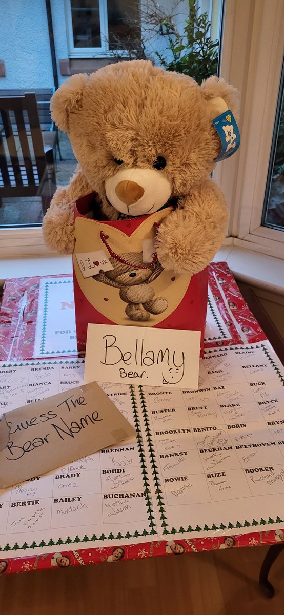 Hi everyone. My name is Bellamy Bear and my new owner is Ronnie who guessed my name correctly. Thank you everyone that has donated.