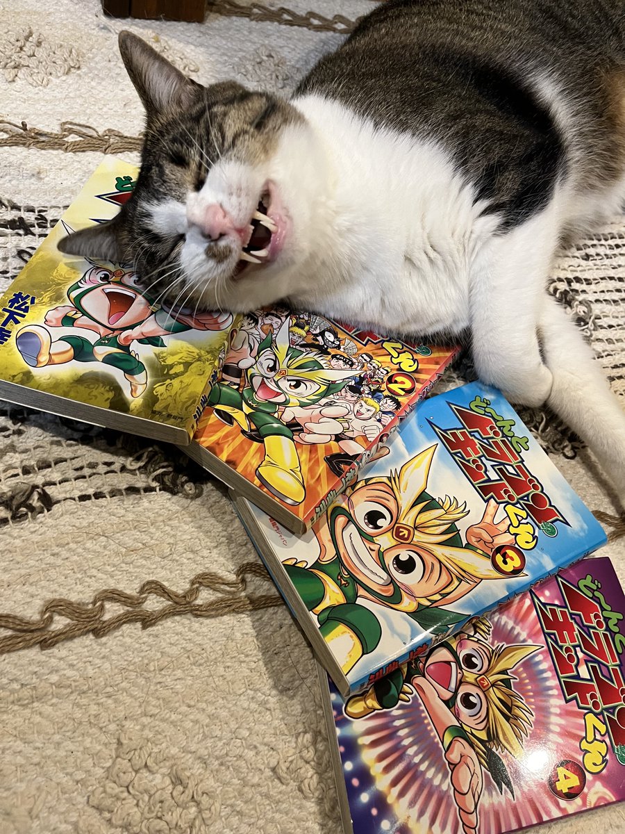 このマンガ知ってます？ #ど〜んとドラゴンキッドくん #松下幸志