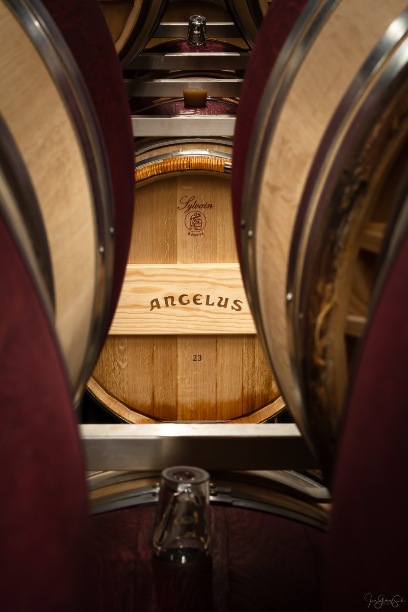 Dans le silence du chai Angelus, le temps fait son œuvre. Le millésime 2023 poursuit son élevage en barriques neuves de chêne français pour une durée d’environ 22 mois.

© Jean-Gabriel Soula