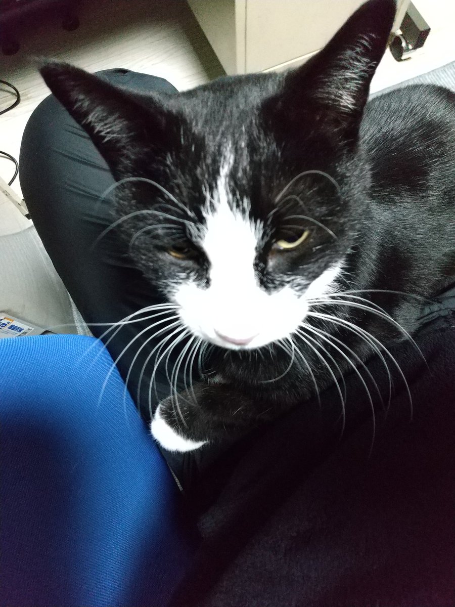 一緒にきゅーけ🙂😺💖。 