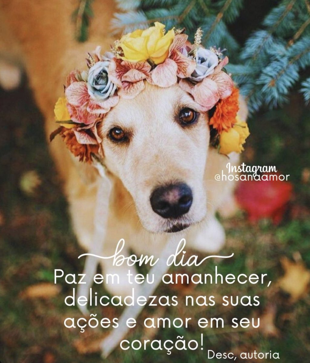 <a href="/Renata84106015/">Renata</a>