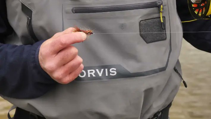RandyAlvaro0's tweet photo. Find the secret to landing more trout with the perfect Wooly Bugger size. Unleash your fishing potential and reel in the big ones.

#FlyFishingWoolyBugger #WoolyBuggerforTroutFishing #TroutFishing

https://t.co/NWF3ScFmtq https://t.co/7qGbuXOB9t