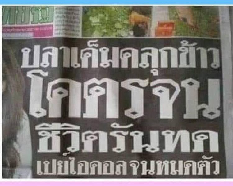 โก๋ต๊อด คันไข่ (@thetoddkung) on Twitter photo 