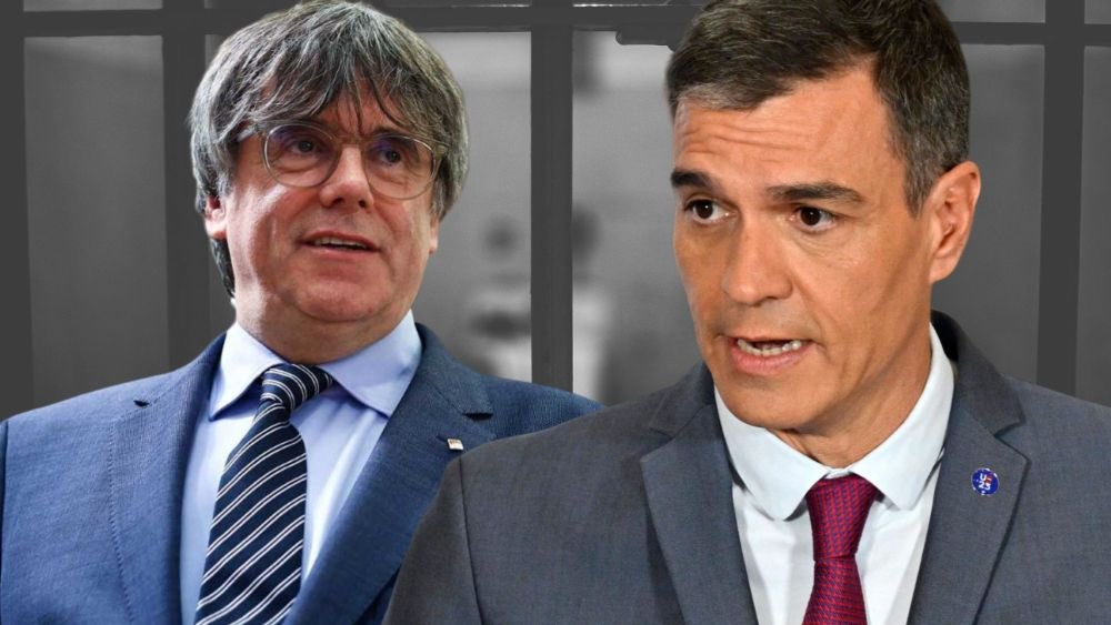 Anacunetas55's tweet photo. Sabéis que:
La Amnistía permitirá cobrar una pensión vitalicia de más de 7.000€ al mes al fugitivo Puigdemont?

Que pvtaverguenza dais.

#GobiernoDeLadrones https://t.co/JeHfw5VUJ5