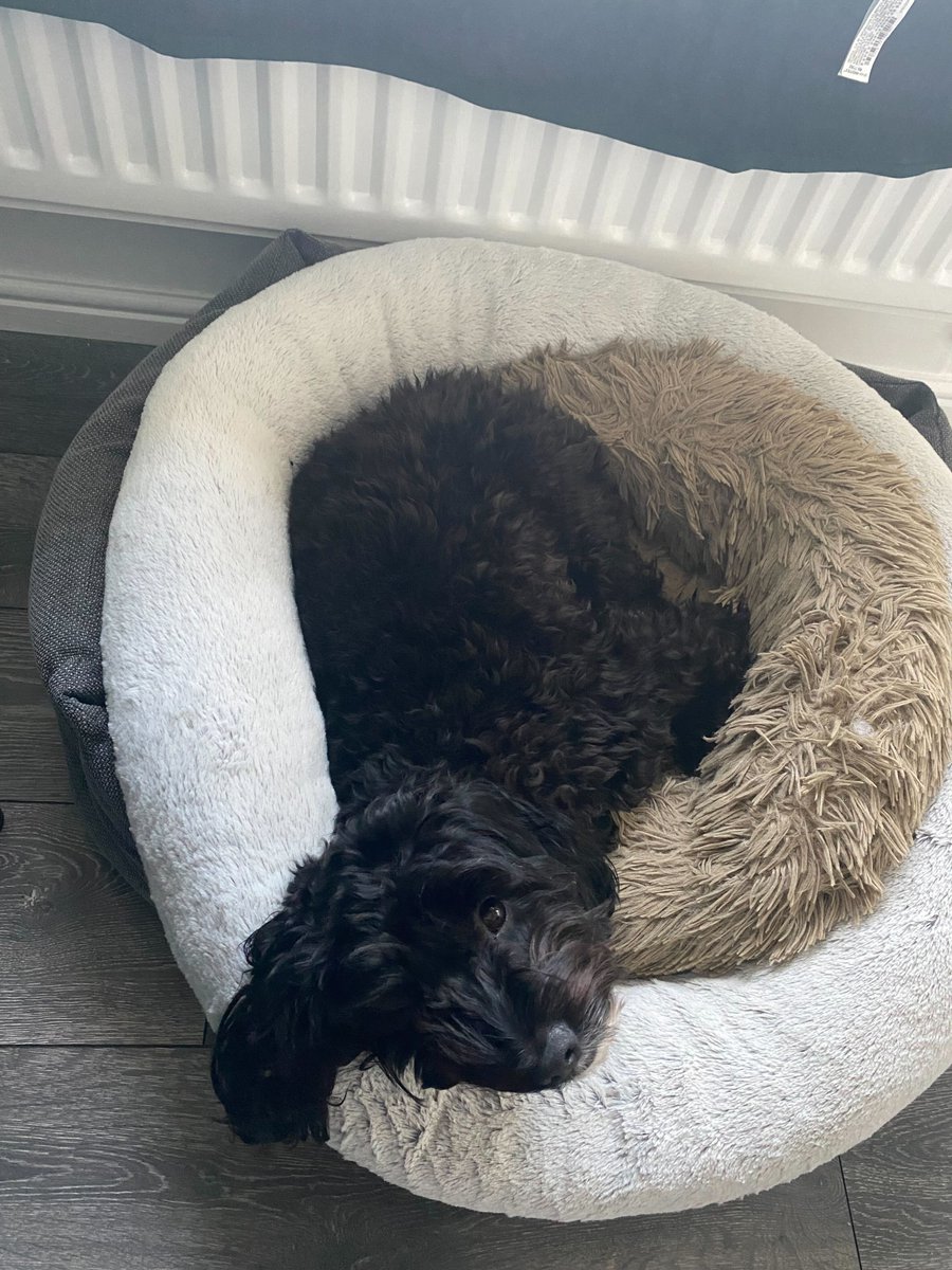 Digital Six® tweet media