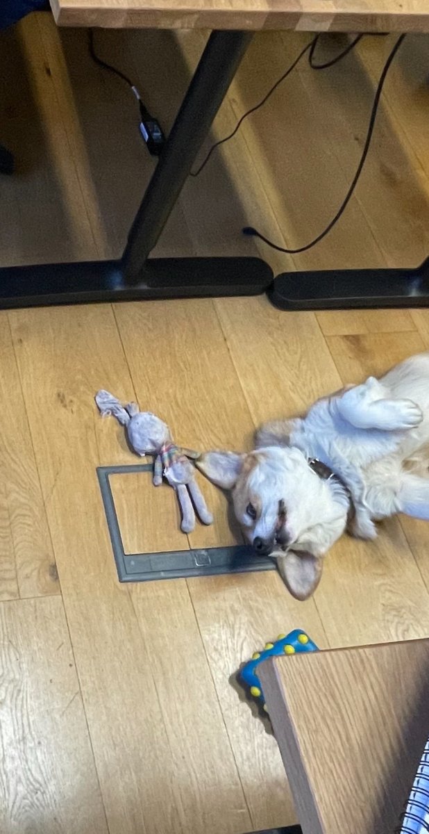 Digital Six® tweet media