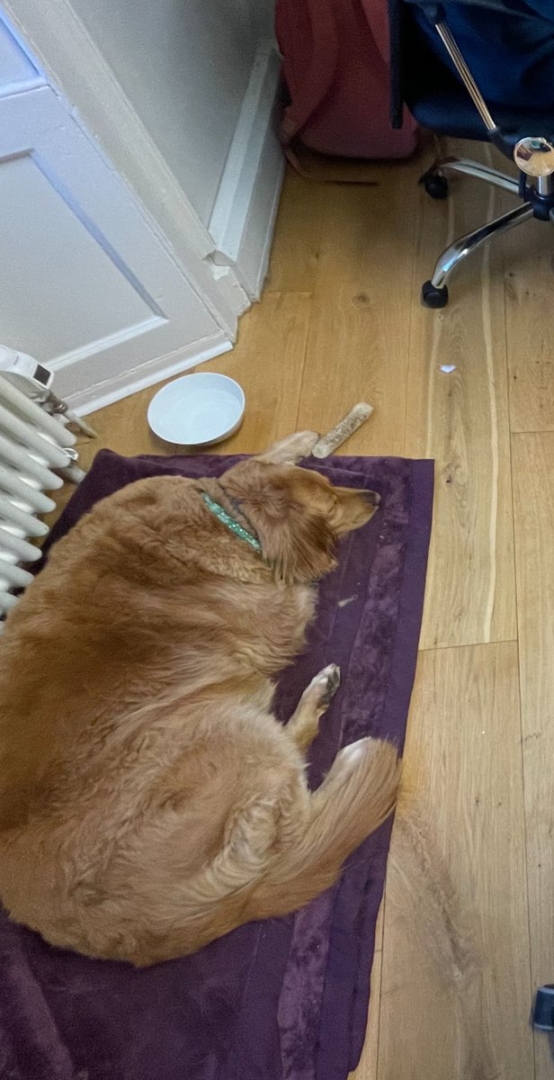 Digital Six® tweet media