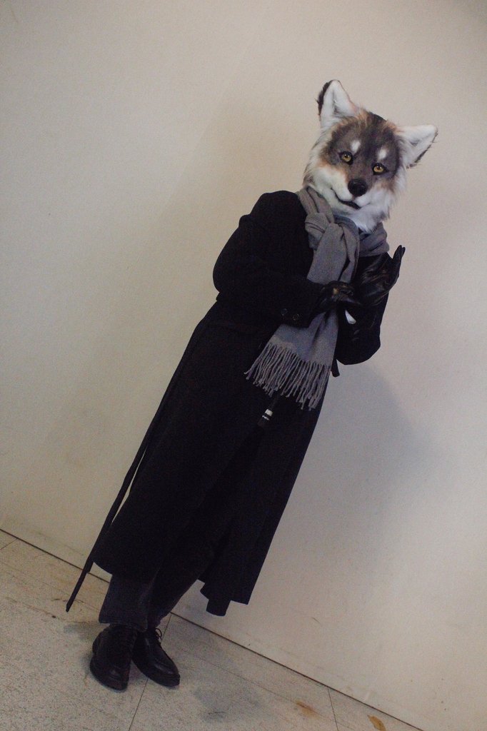Horong_F's tweet photo. #FursuitEveryday 
오늘 학교 친구들이랑 촬영회 했어요...!
저는 당연히 세루로😊 https://t.co/R5wCuOY1rw