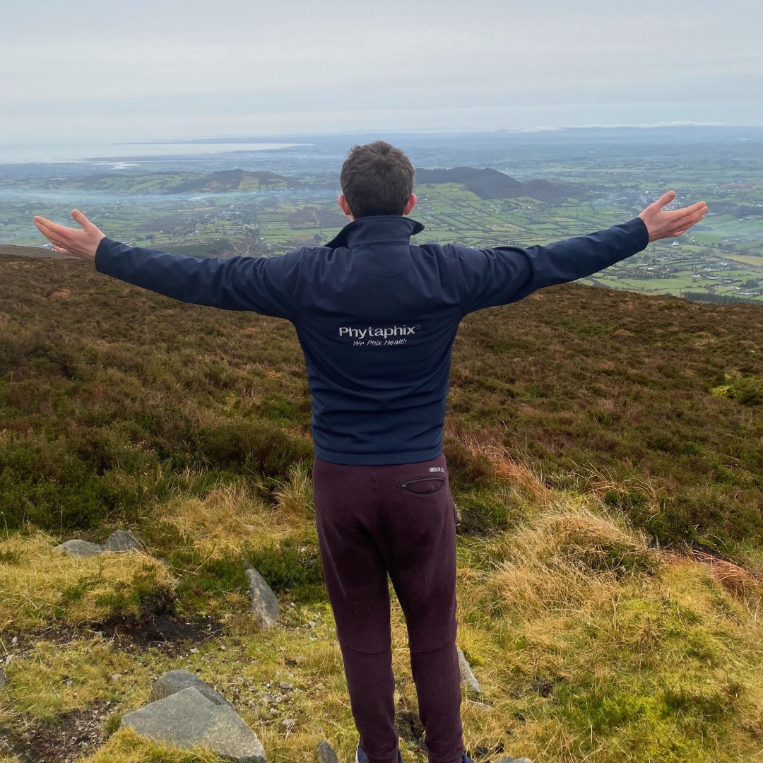 Phytaphix tweet media