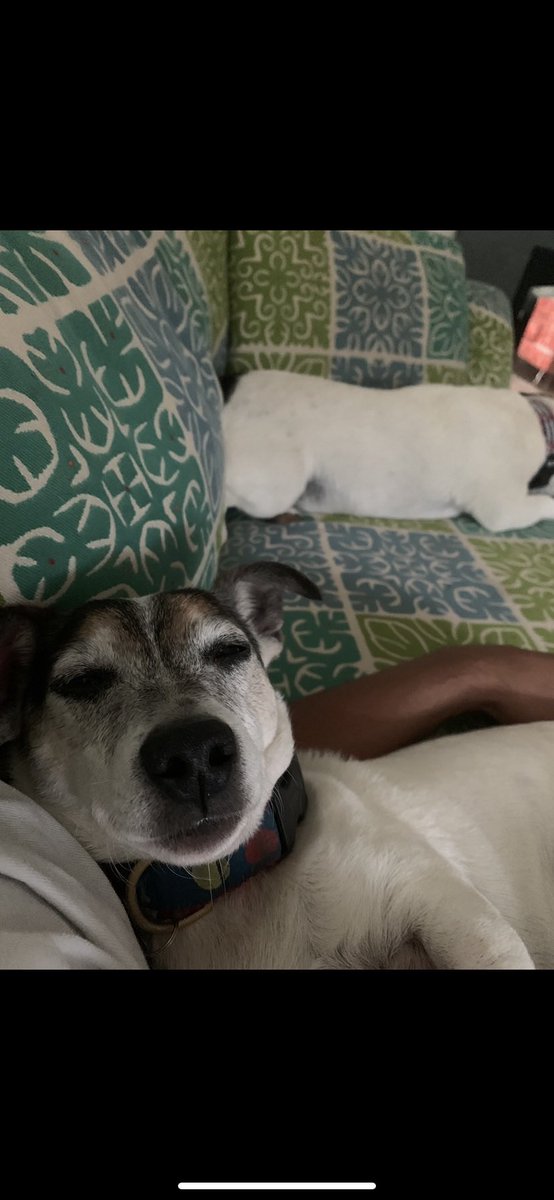 MoMoney1127 tweet media