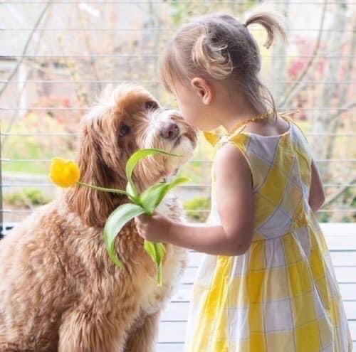 😃❝... Cultive a alegria de viver e você verá que coisas belas podem acontecer a qualquer momento ...❞ 😃