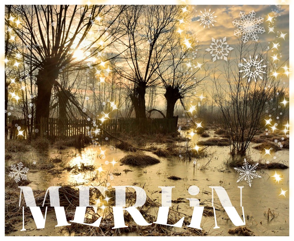 Season's Greetings from the MERLIN team! Wishing you wonderful holidays filled with warmth, love, and a lot of nature!