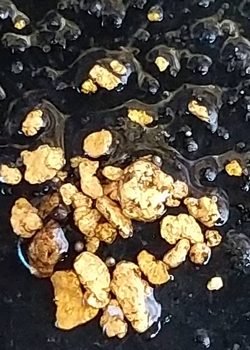 今日は師匠とくいだおれさんの三人で掘り納めに水がない川に行って参りました。風が強く手足もかじかんでしまい早上がりとなりましたが、久しぶりの砂金に満足しました。来年も結果が出るよう頑張ります。