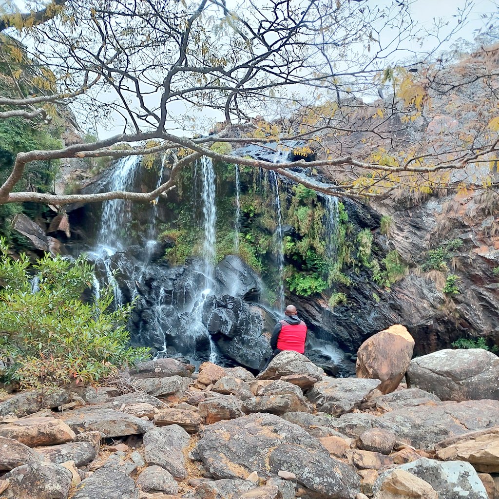Sarutheone's tweet photo. Quote this or reply with your all time favorite travel memory in the Eastern Highlands, let's go! 

Wanga #Uripi 😂
#ThisisZimbabweBaby 🇿🇼 https://t.co/emFkvzh7AF