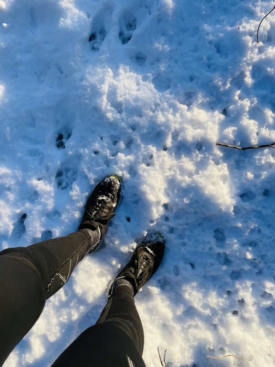 myola1's tweet photo. Ljuset! Stilla, vackert, jobbigt…skön runda för både huvud och kropp 🏃‍♂️❄️☀️

#runolarun #running #winterrunning #trailrunning #löpning #icebug #runonemotion #teamnordictrail https://t.co/YUSQM062P0