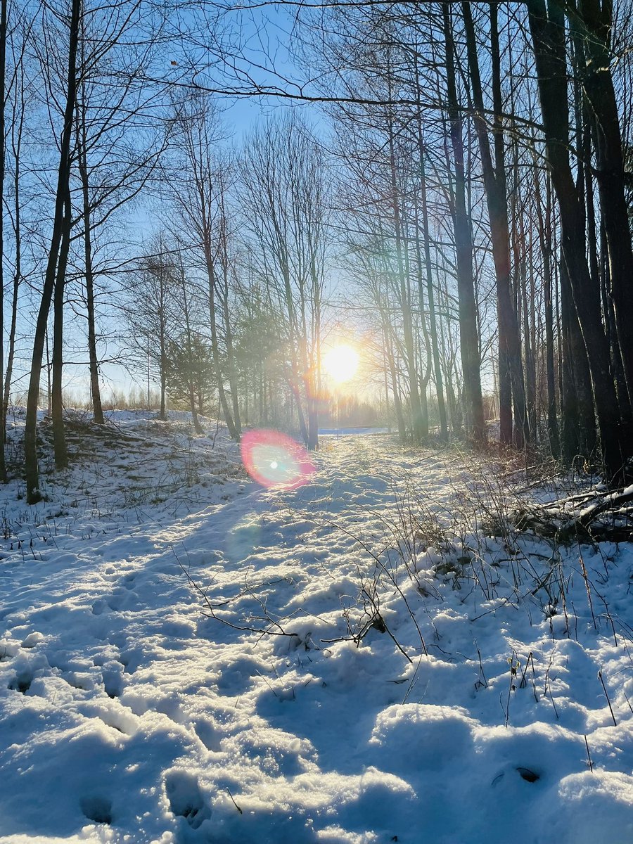 myola1's tweet photo. Ljuset! Stilla, vackert, jobbigt…skön runda för både huvud och kropp 🏃‍♂️❄️☀️

#runolarun #running #winterrunning #trailrunning #löpning #icebug #runonemotion #teamnordictrail https://t.co/YUSQM062P0