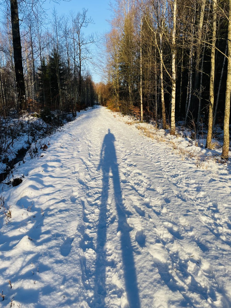 myola1's tweet photo. Ljuset! Stilla, vackert, jobbigt…skön runda för både huvud och kropp 🏃‍♂️❄️☀️

#runolarun #running #winterrunning #trailrunning #löpning #icebug #runonemotion #teamnordictrail https://t.co/YUSQM062P0