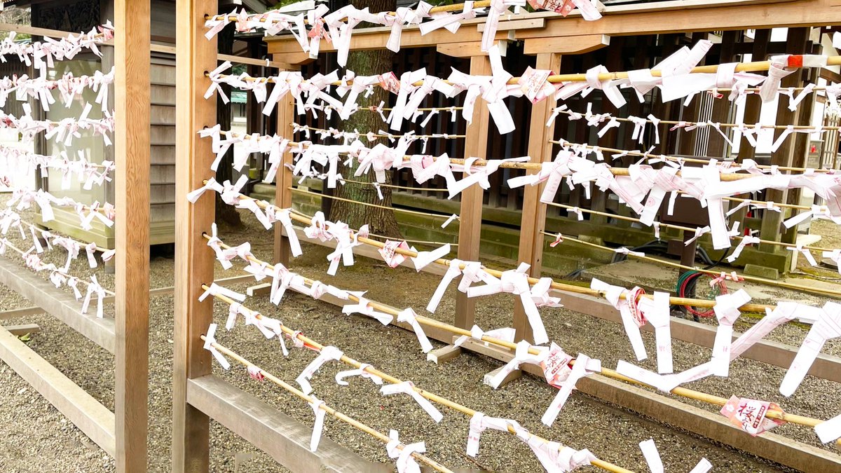 taniguchi_s_y_d's tweet photo. 神職さんからのお願い🙏
おみくじを結ぶ際、おみくじ掛けがあるなら、そこに結ぶようにしてください。御神木などの木に結ぶと枝が傷む可能性があり、参拝者の多い神社では根元が踏まれて木が弱ります。おみくじ掛けは、境内の木を守るための設備なので、できればそちらを利用しましょう。
#拡散希望 https://t.co/f9QzwPxhcP
