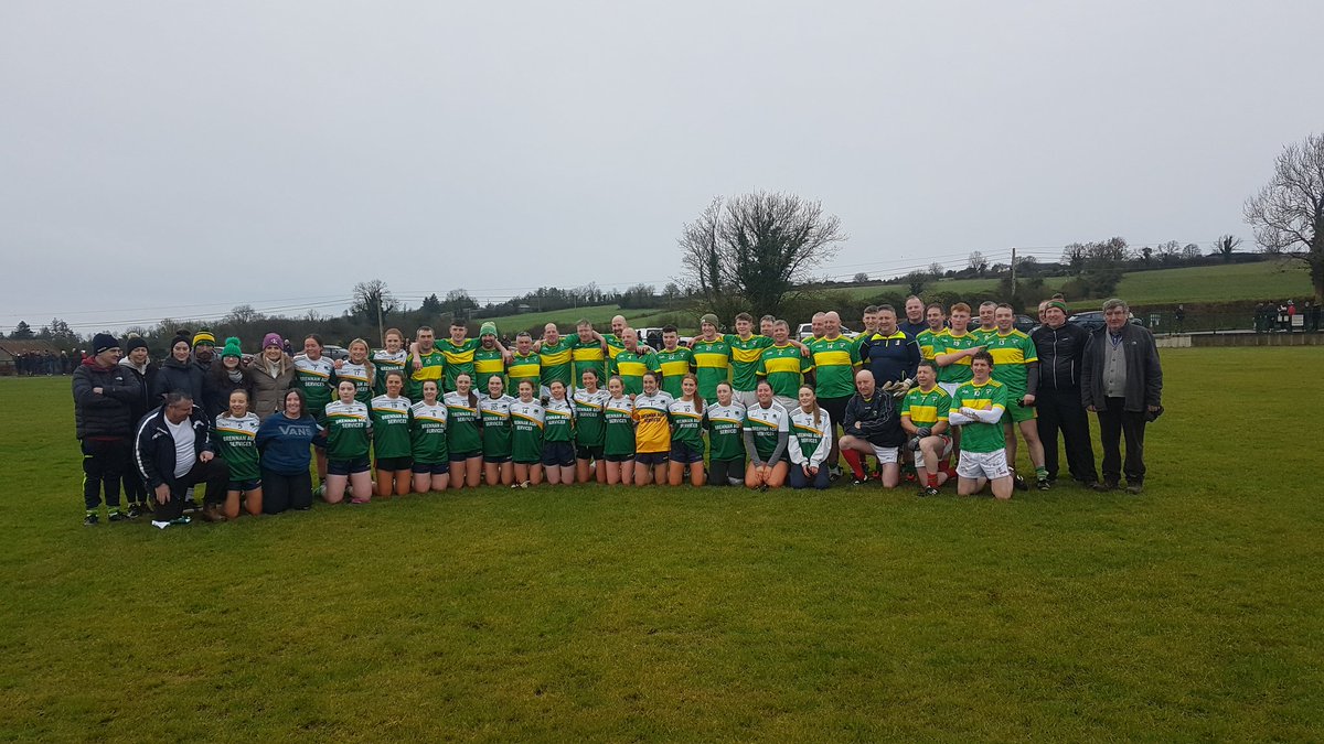 St. Martin's Hurling tweet media
