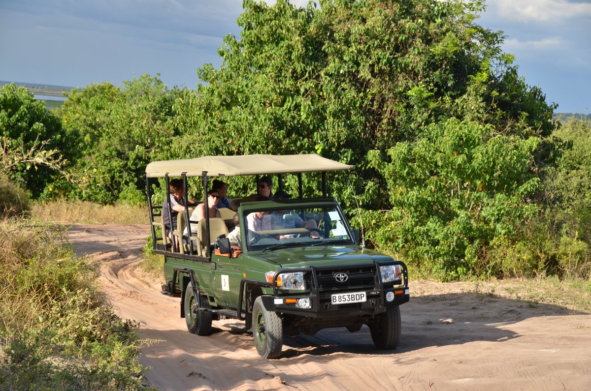 BwTsito's tweet photo. Your Botswana DMC of choice
Trust us with your dream safari
#Jackalberry
#botswanasafari
#bestDMC
info@kalaharisafaris.co.bw https://t.co/MutmM6giYB