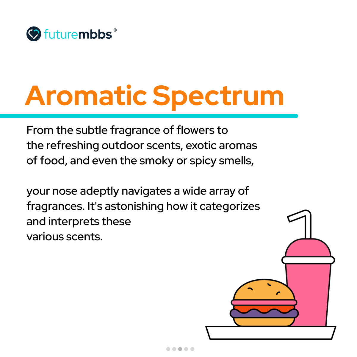 future_Mbbs's tweet photo. Unraveling the secrets of the human nose! Did you know how amazing your sense of smell truly is? Dive into the fascinating world of scents and uncover the magic of your olfactory senses. 🌸✨

#nose #facts #reels  #informationalpost #viral https://t.co/6eAEpJXbYv