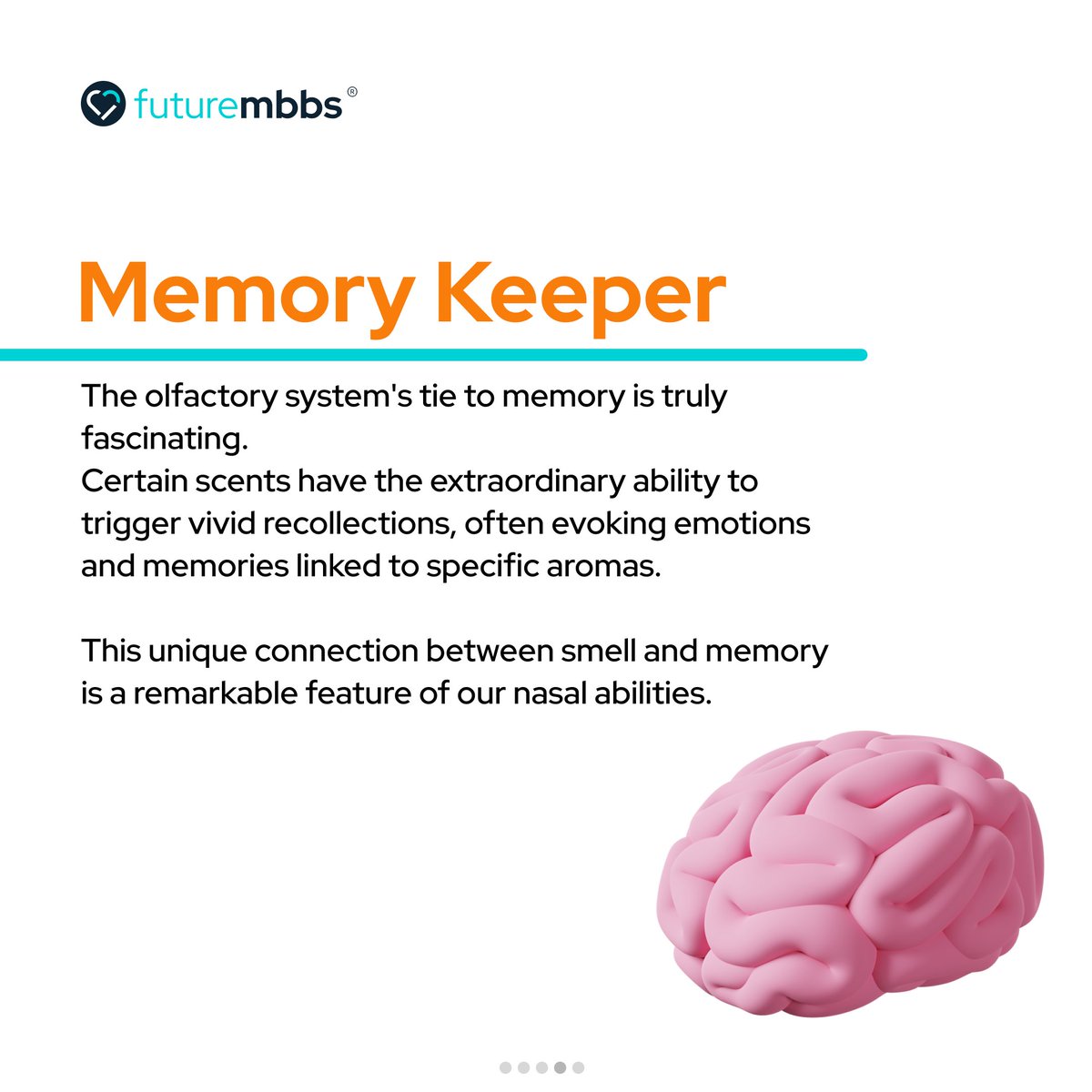 future_Mbbs's tweet photo. Unraveling the secrets of the human nose! Did you know how amazing your sense of smell truly is? Dive into the fascinating world of scents and uncover the magic of your olfactory senses. 🌸✨

#nose #facts #reels  #informationalpost #viral https://t.co/6eAEpJXbYv