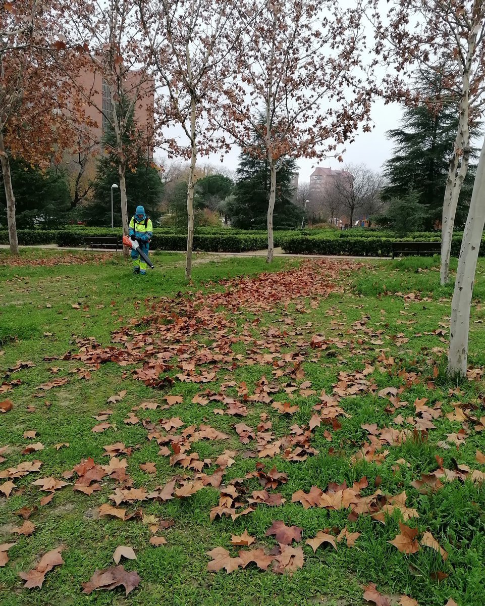 FCC_Equal's tweet photo. 🍂 Nuestros compañeros de FCC Equal trabajan para limpiar y prevenir la acumulación de hojas en parques y jardines, manteniendo así nuestros espacios verdes y canaletas en buen estado.

Os dejamos aquí algunas fotos del antes y después del paso de nuestros equipos. https://t.co/elpGJcT9cU