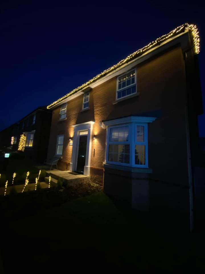 TreeServiceHull tweet picture