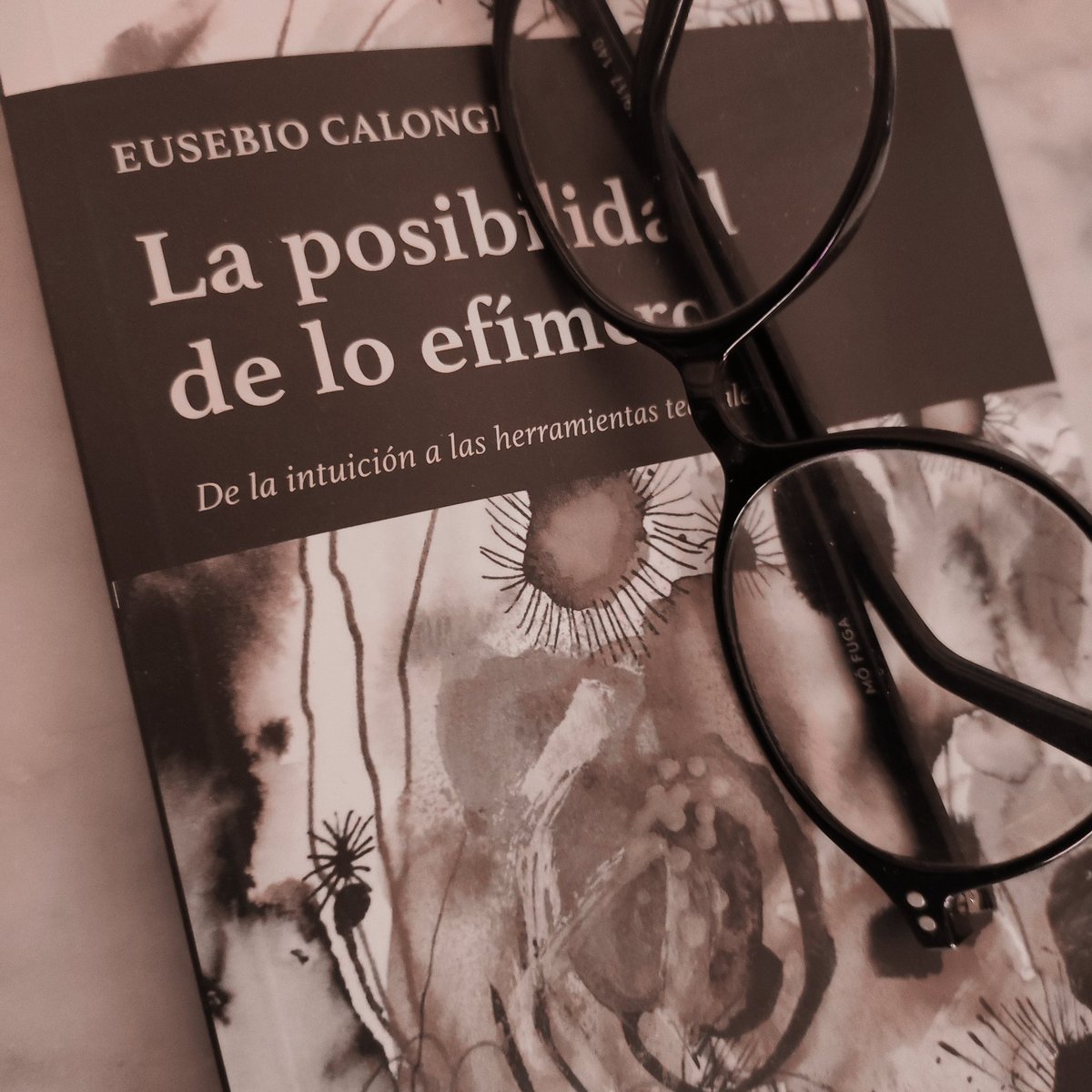 jcolume's tweet photo. En mis manos ya y devorándolo. Gracias @EusebioCalonge  por las luces del camino. https://t.co/09NFLEPxJi