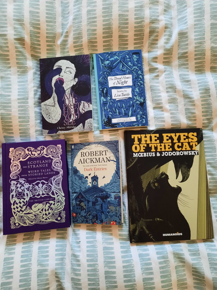 My Christmas horror haul 🖤